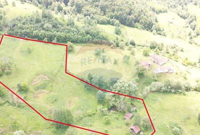 Teren intravilan de vis in Mun?ii Apuseni, curent + izv... - 2