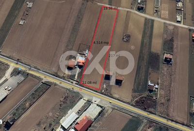 Spațiu comercial, în Petricica - 5