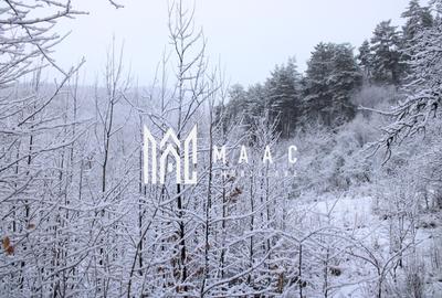 Teren Construcții intravilan de 20000 mp, în Dângești - 31