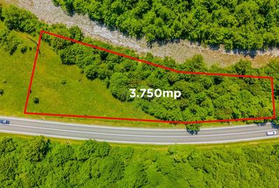 COMISION 0% Teren 3750mp / Sacele / DN1A / Poten?ial tu... - 1