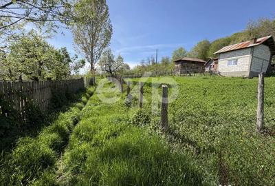 Teren în Bârseștii de Sus - 5