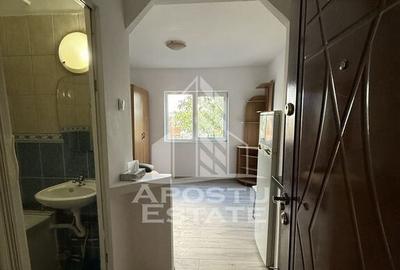 Garsoniera in zona Aradului - 4