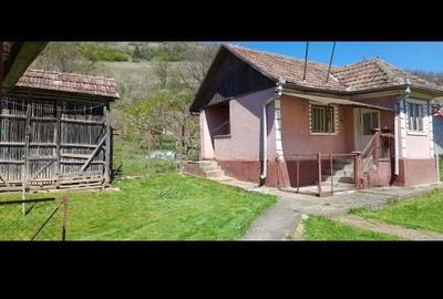 Casă cu 2 camere în Dosu Bricii - 4