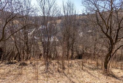 Casă individuală cu 3 camere cu Teren 1737 Mp în Solonț - 8