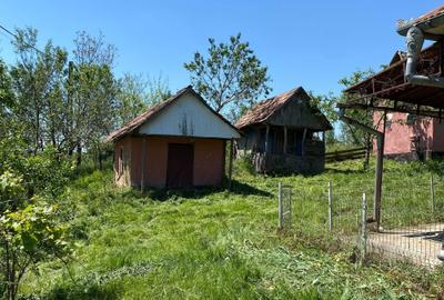 Casă cu 2 camere în Buza - 5