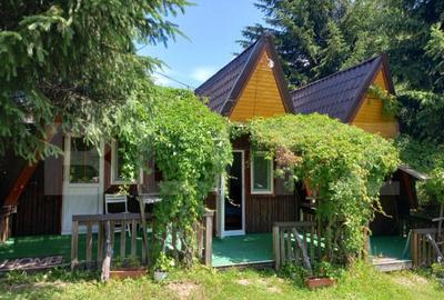 Ocazie , cabana, 300 mp utili, Poiana Stampei cu 6060 mp ter - 10