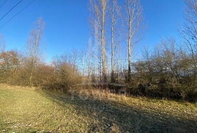 Teren agricol de 7500 mp, în Bradu - 9