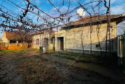 Casă 4 camere in Seitin 2144 teren - 3