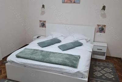 Chirie apartament cu o camera ultracentral - 3