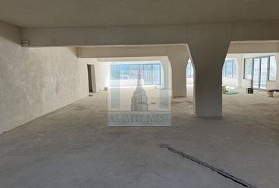 Spațiu Comercial, 400 mp utili - zona Grivitei - 7