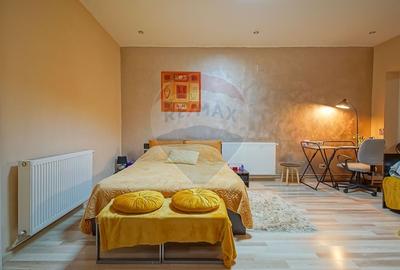 Apartament cu o camera, afacere la cheie, str. Muresenilor, Brasov - 3