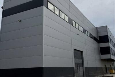De vanzare hala industriala in Mogosoaia / Buiacului - 3
