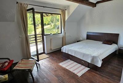 Casă cu 5 camere cu Teren 6842 Mp în Brădetu - 13