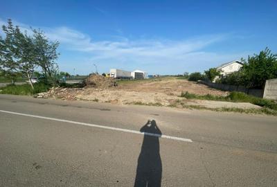 Teren de 8700 mp, în Coșoveni - 7