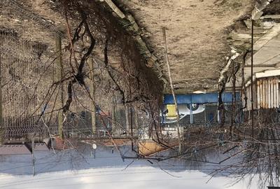 Casa de vanzare Gaze,camere 5+ zona Valea Nucului Plescoi - 4