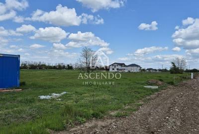 Teren Construcții intravilan de 704 mp, în Siliștea Snagovului - 5