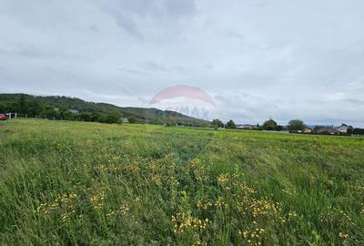 Teren 1,495mp Dobreni / Strada Parau Almas - 7