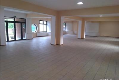 Spațiu comercial, de 450 mp, în Central - 4