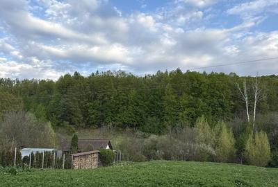 Casă cu 3 camere în Buhoci