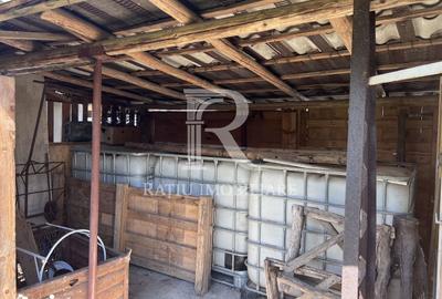 Casă cu 1 camere cu Teren 3000 Mp în Copăcel - 14