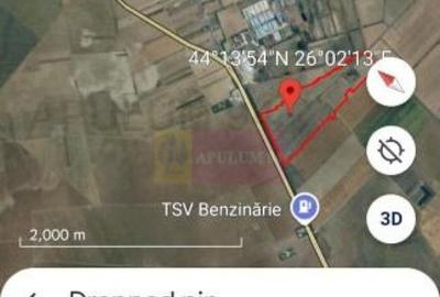 Teren 40ha Adunatii Copaceni | Industrial/ Logistic - 4