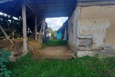 Casă cu 2 camere în Ceișoara - 1