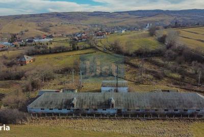 Spațiu comercial, în Păniceni - 1