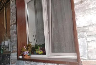 Casă cu 2 camere cu Teren 47 Mp în Timocului-Șaguna - 4