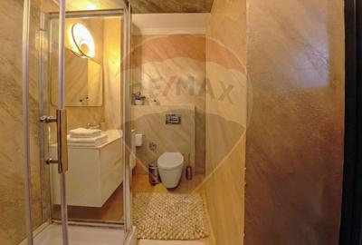 Apartament cu 4 camere în Unirii - 10