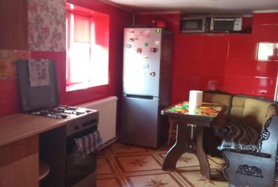 Casă cu 4 camere cu Teren 500 Mp în Păltineni - 7