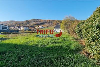 Teren 1200 mp de vanzare zona Valea Popii cu toate utilitatile Teren 1200 mp de vanzare zona Valea Popii cu toate utilitatile - 2