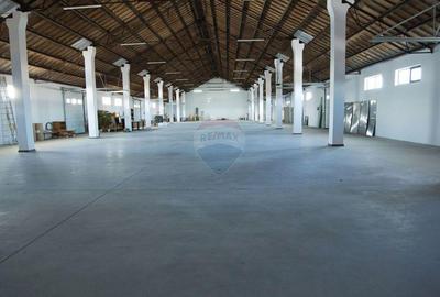 Hale industriale de inchiriat in Tg Neam? - 2