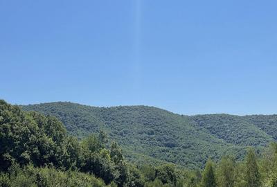 Teren de 45809 mp, în Mădrigești - 17