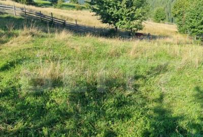 Teren de 2500 mp, în Central - 9