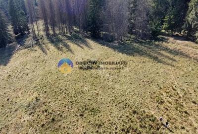 Teren de vanzare 5000 mp Piatra Neam? - 3