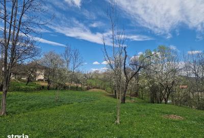 Teren de 12000 mp, în Ghioșești - 8