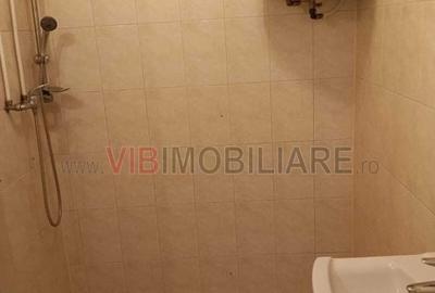 Arad - Spatiu comercial pe Metianu, parter plus etaj - 15