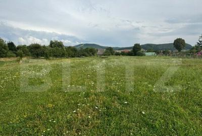 Teren Intravilan UNIREA 972mp - 1