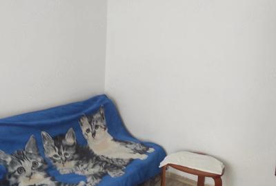 Garsonieră decomandată în Dacia - 13