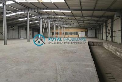 Royal Imobiliare - Inchiriere spatiu industrial zona Exterior Vest - 4