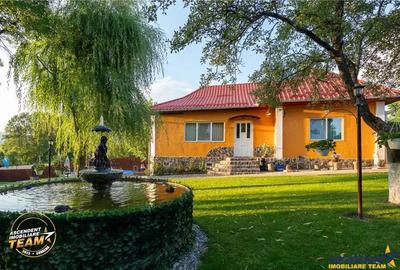 FILM 3D! Doua case cu:piscina,foisor,arbori decorativi,1.700mp teren,Lutoasa,Covasna - 14