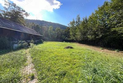 Pensiune 8 cam cu 4 paturi teren 1350 mp - 2