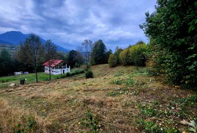 Teren de 2400 mp, în Borșa - 1