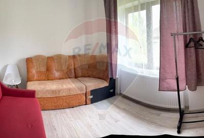 Casă individuală cu 2 camere cu Canalizare în Ocna Șugatag - 6