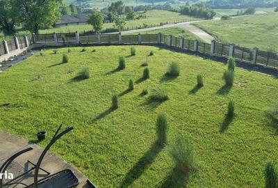 Casă cu 3 camere cu Teren 3000 Mp în Slătioara - 12