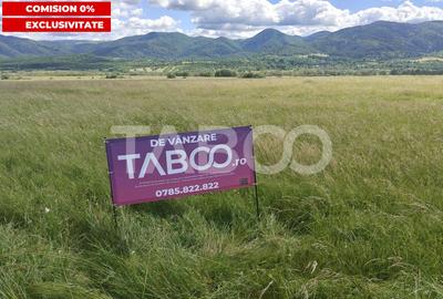 Teren agricol intravilan de 10000 mp, în Săliște - 5