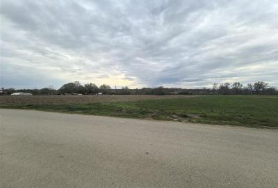 Teren Construcții intravilan de 440 mp, în Vladimirescu - 3