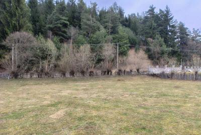 Spațiu comercial, în Brădet - 1