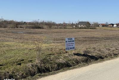 Teren de 9400 mp, în Ciolpani - 7