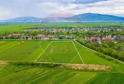 Teren agricol extravilan de 10000 mp, în Prejmer - 2